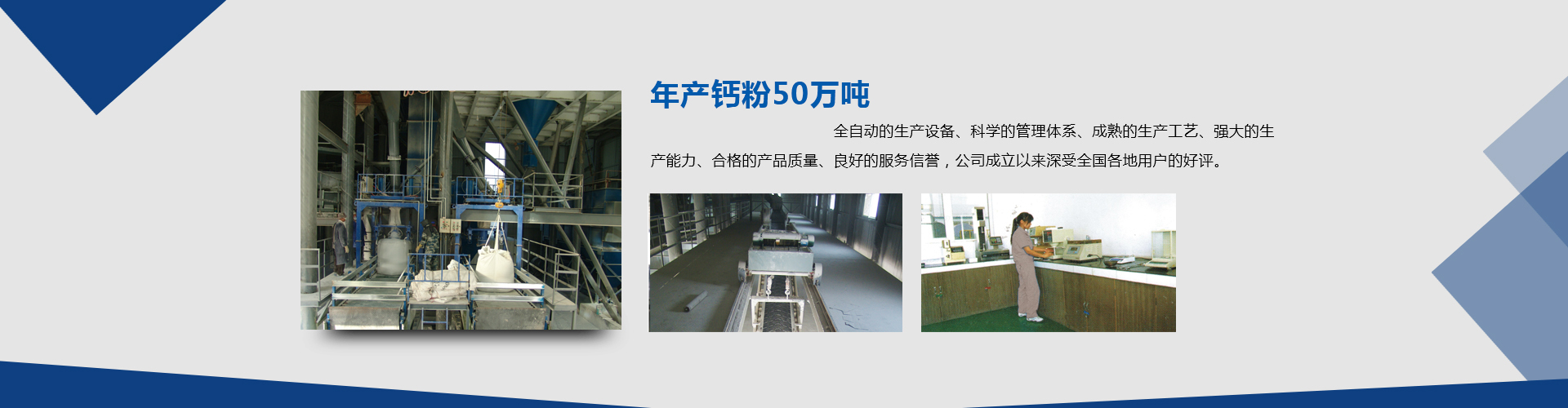 新鄉(xiāng)市大新環(huán)保科技有限公司（大新鈣業(yè)）